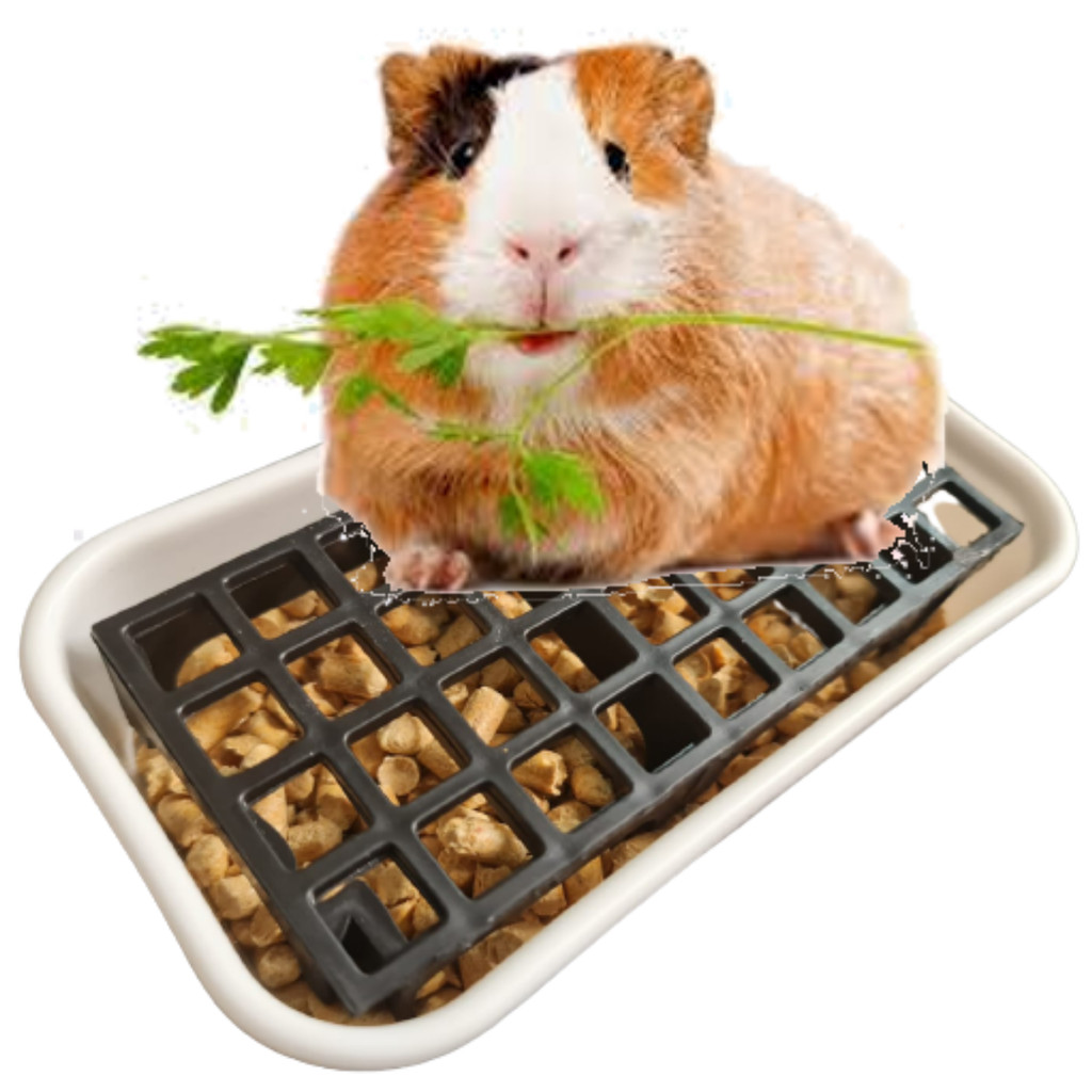 Banheiro Pequeno Sanitário MINI Para ROEDORES Porquinho da India, Rato e Twister em Oferta na Shopee