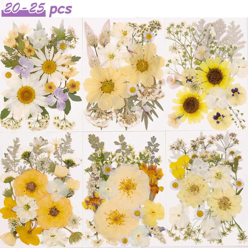 20-25 Unidades De Flores Prensadas Secas Para Artesanato , Kit Moldes De Resina , Acessórios Epóxi , Marcador , Unhas ,
