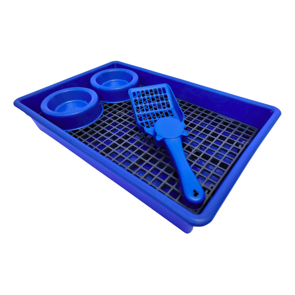 Banheiro Azul Para Coelhos E Porquinhos Da Índia Dumascot