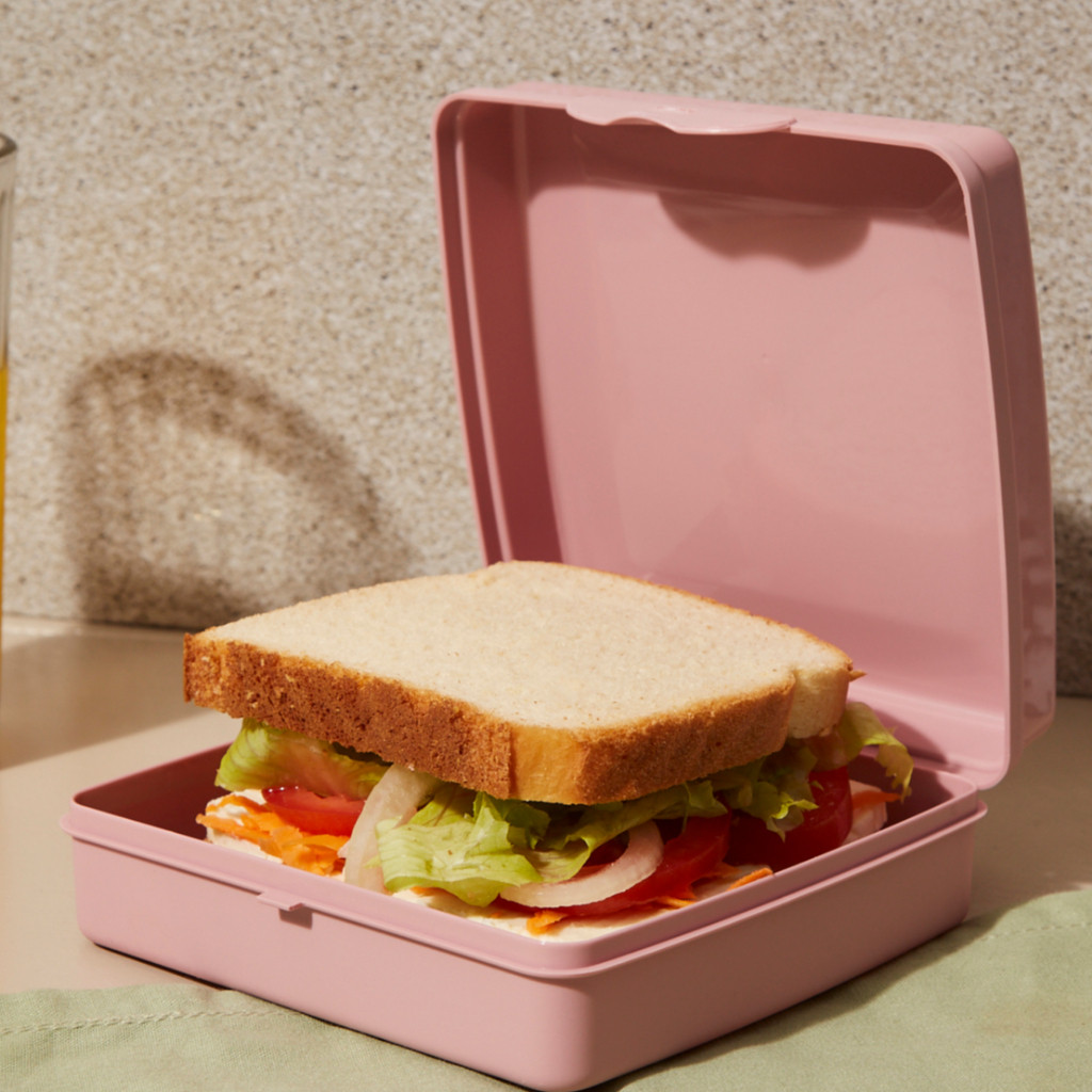 Sanduicheira Plástico Sanremo Rosa Azul Transparente Pote Box Porta Sanduiche Merenda Pão Lanche em Oferta na Shopee