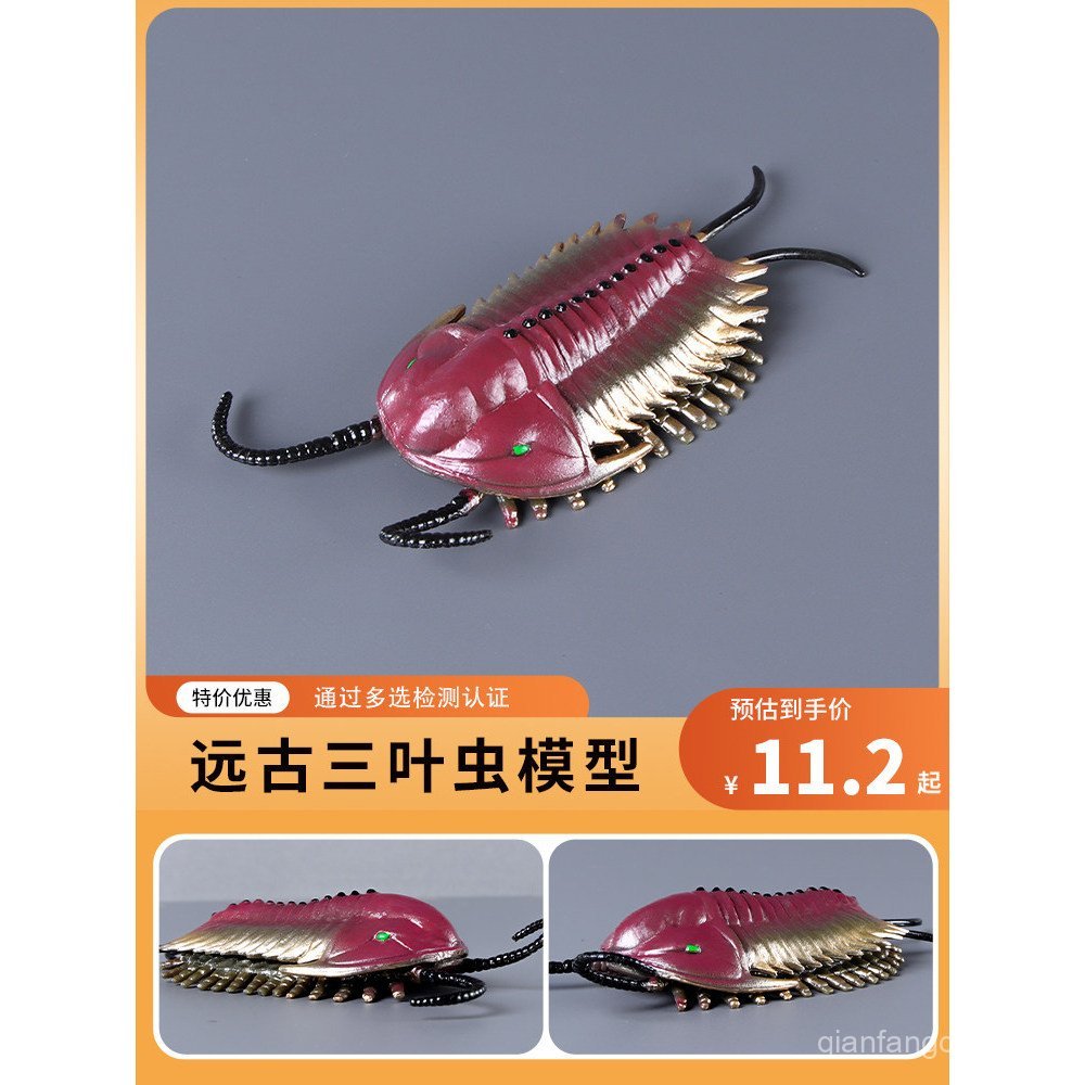 Modelo simulado de criatura marinha antiga: Dunkleosteus, brinquedo trilobita, amonite, ornamento educativo cognitivo pa