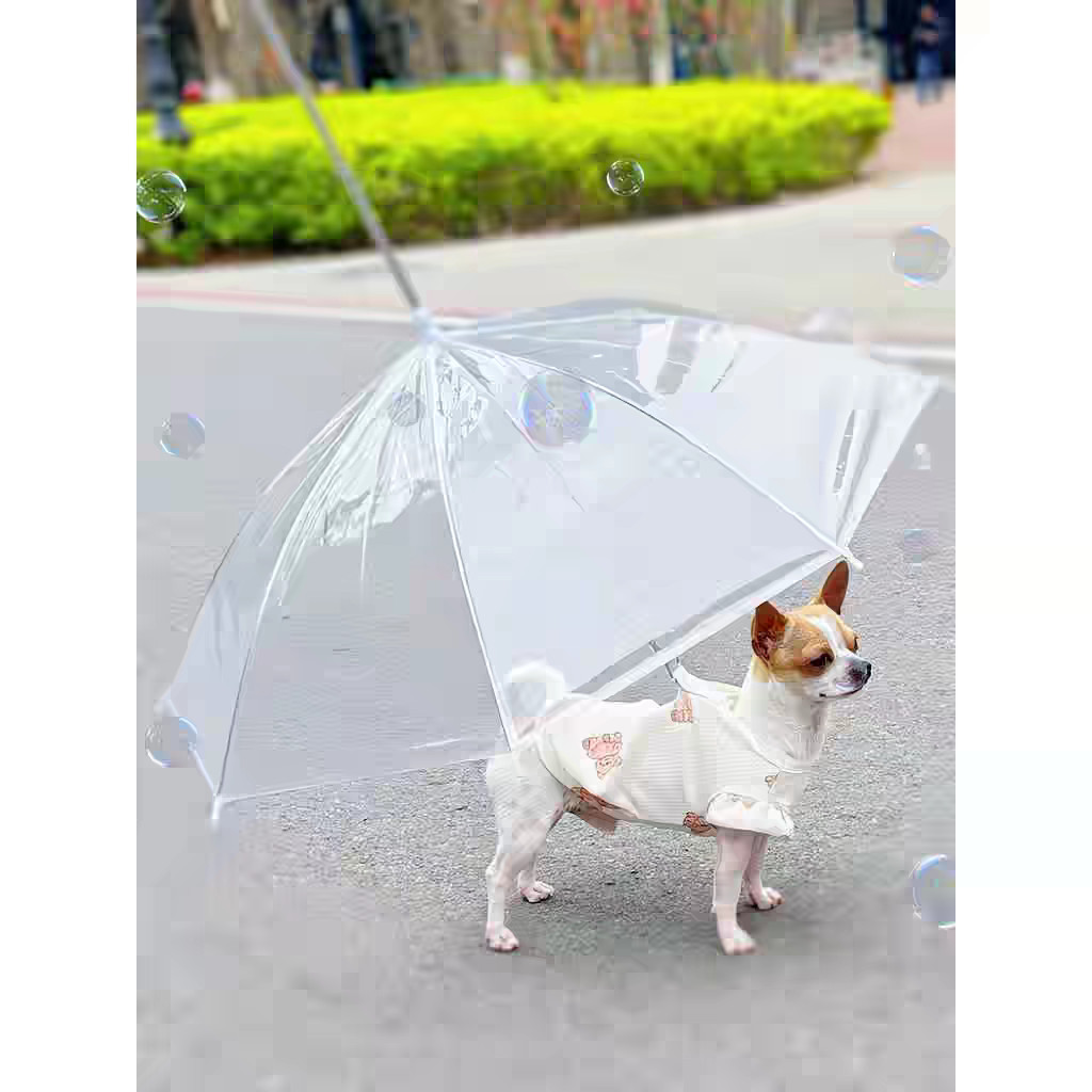 Guarda Chuva  animal Pet Cachorros e Gatos