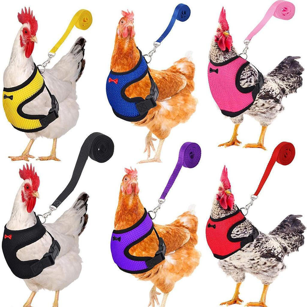 Moda Frango Pato Colete Galinha Cinto Pet Arnês Combinando Coleiras Arco Confortável Leva Respirável Suprimentos De Aves