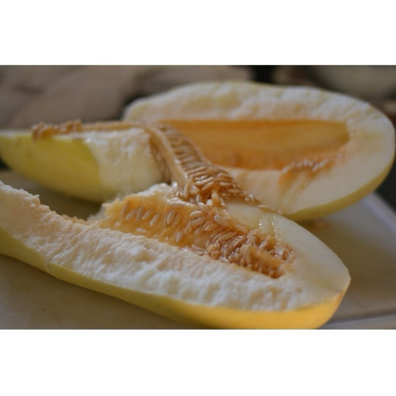 100 Sementes De Melao De Neve Doce do Sertão ENVIO RÁPIDO III NV em Oferta na Shopee