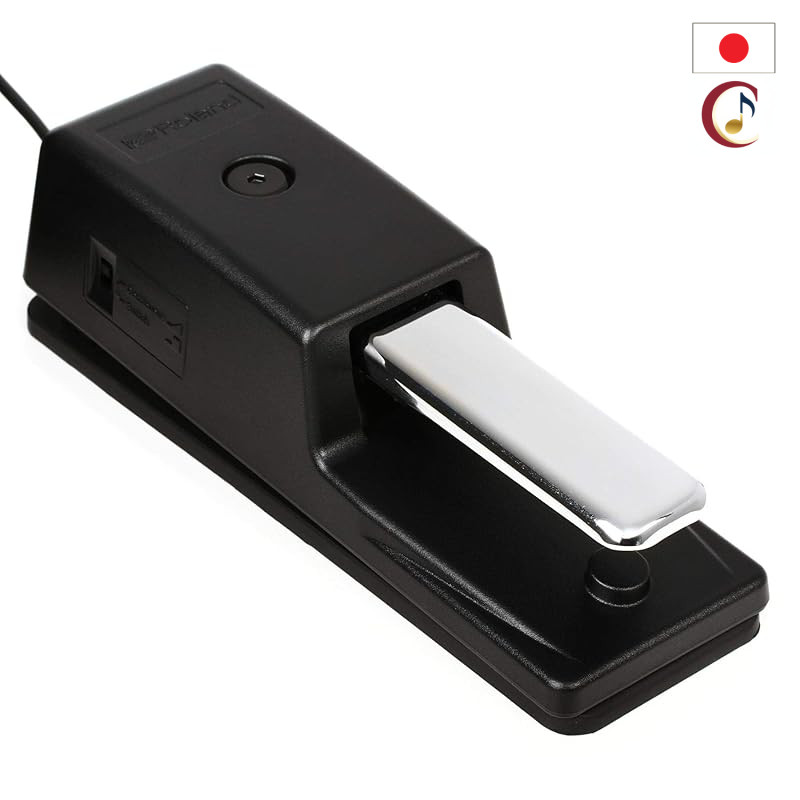 Roland DP-10 Damper Pedal, half-damper compatible, 2.2 m cable, for digital pianos and keyboards./From Japan