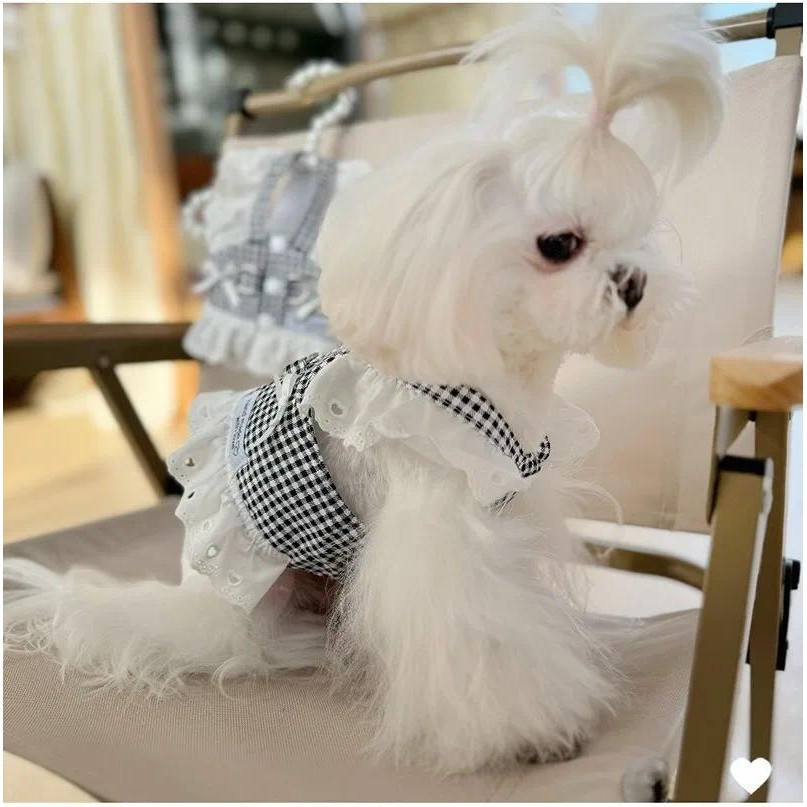 Roupa para Cães de Estimação, Saia de Renda, Estilo Campestre, Xadrez Preto, Vestido para Filhotes com Arnês Universal,