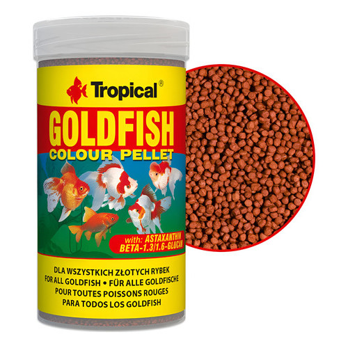 Ração Goldfish Colour Pellet 45g Acentua Coloração Kinguios