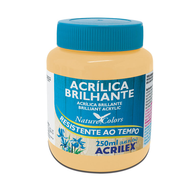 Tinta acrílica brilhante Amarelo Pessego 250ml 538 Acrilex em Oferta na Shopee