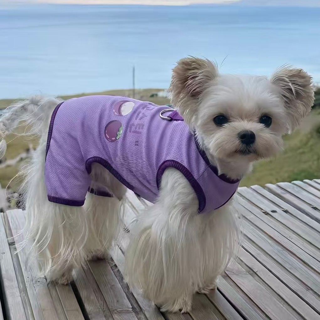 Roupas respiráveis para cães de quatro patas, roupas de primavera e verão, pelúcia, Poodle, cachorros pequenos, roupas p