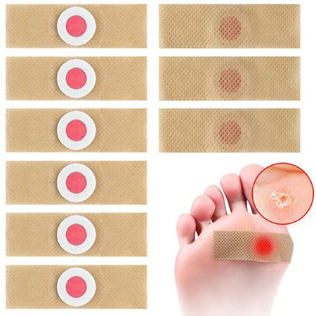 Diário do Peixe: Onde Comprar | BuscaProdutos