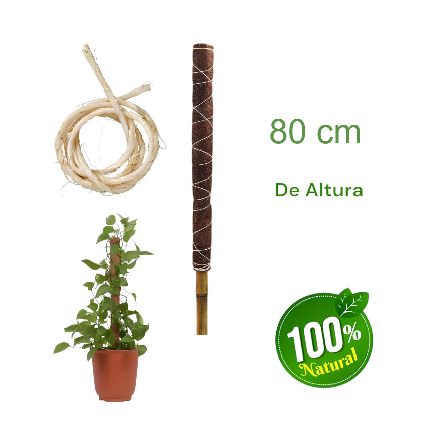 Detalhes do Estaca Bastão Tutor de Fibra De Coco com Bambu 80 cm - Coquim