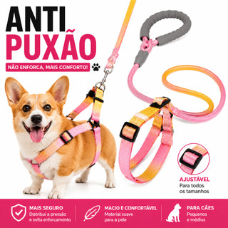 Coleira e Guia com Amortecedor e Pegador Peitoral Ajustável Para Pets Cachorros e Gatos C…