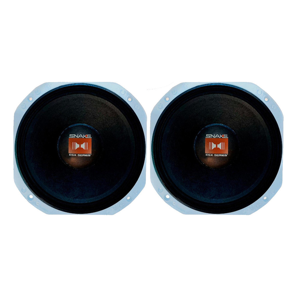 PAR ALTO FALANTE SNAKE 10 POL ESX 810-S 450W 8 OHMS