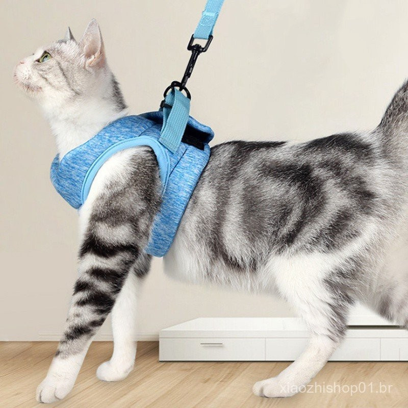 Arnês Do Gato Gato Pequeno À Prova De Fuga E Cão De Malha Macia Vest Arreios Arreios Ajustável Pet Harness