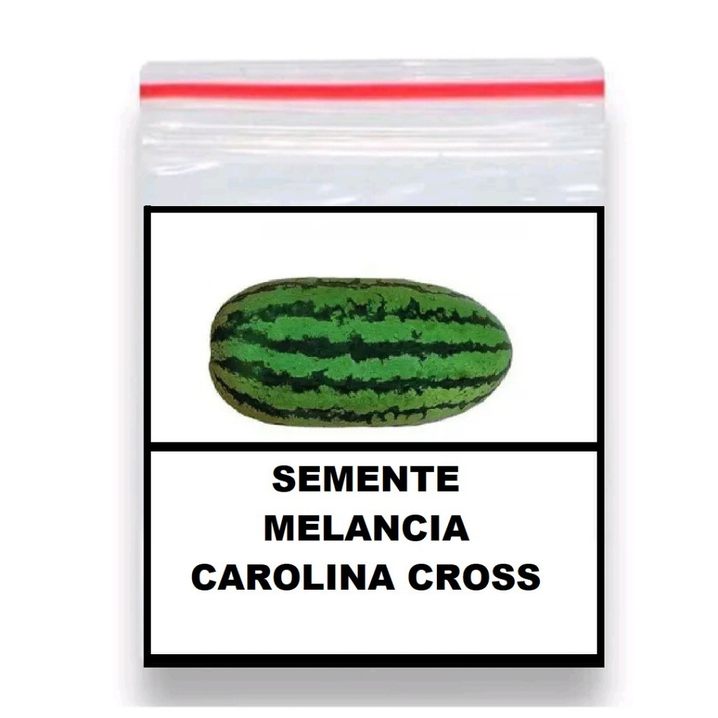 PROMOÇÃO 1.000 Sementes Melancia Gigante Carolina Cross