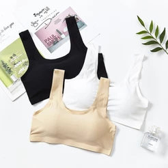 Top Sutiã Confortável Sem Costura C/Bojo Regata NeedFeel （TOP--001）
