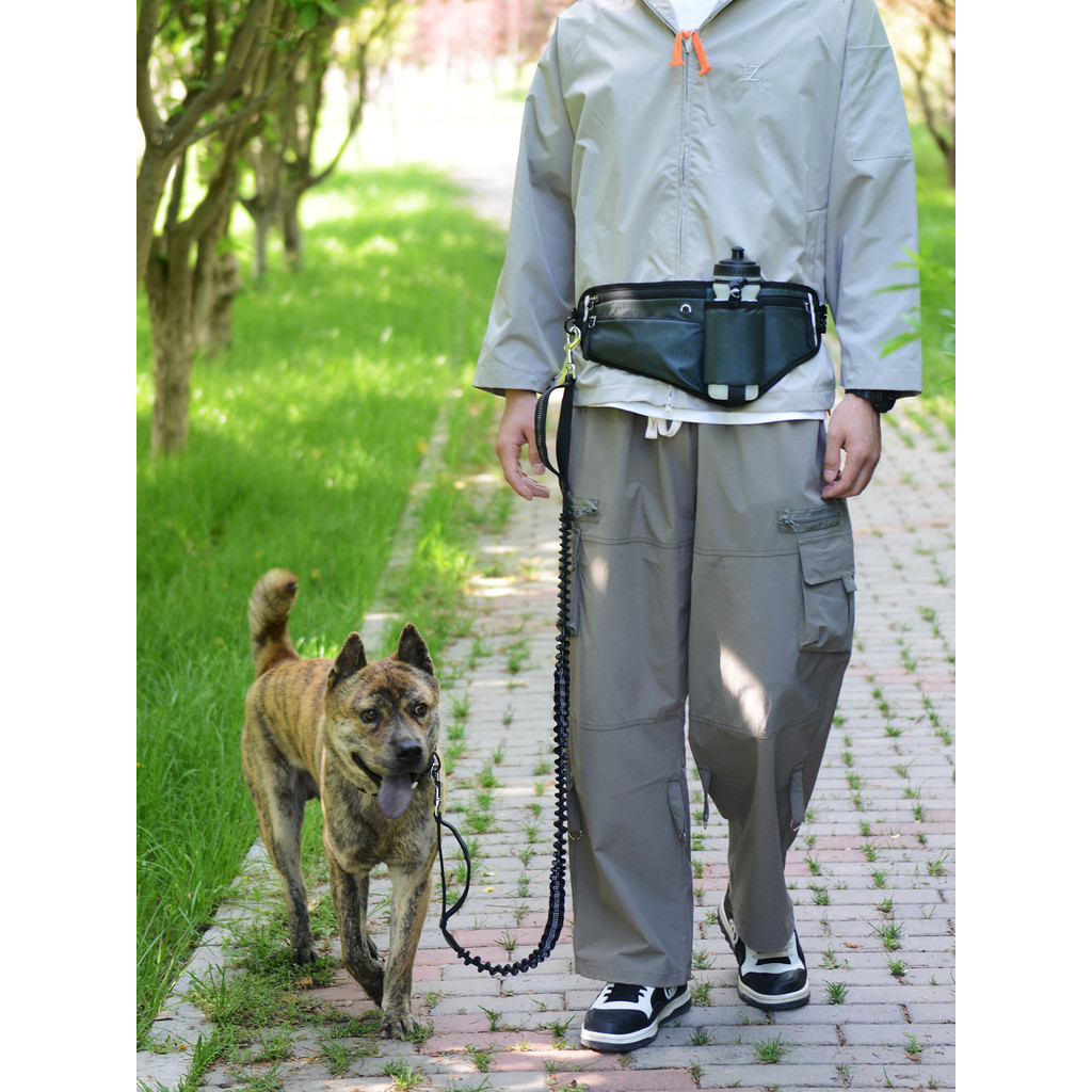 Bolsa para treinamento de cães, cinto para caminhada de cães e gatos, multifuncional, à prova de explosão, corda elástic
