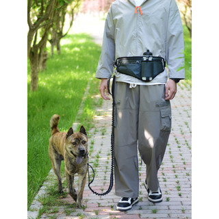Bolsa para treinamento de cães, cinto para caminhada de cães e gatos, multifuncional, à prova de explosão, corda elástic