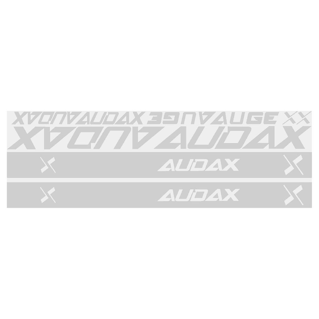 Kit 10 Adesivos Plotter de Quadro Compatível Bicicleta Audax Auge Em Vinil Premium Branco