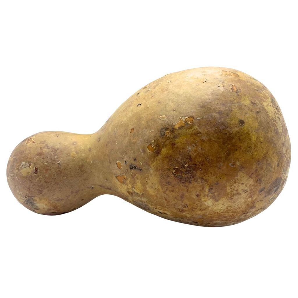 Cabaça Porongo Média Umbanda e Candomblé — imagem 2 de 2