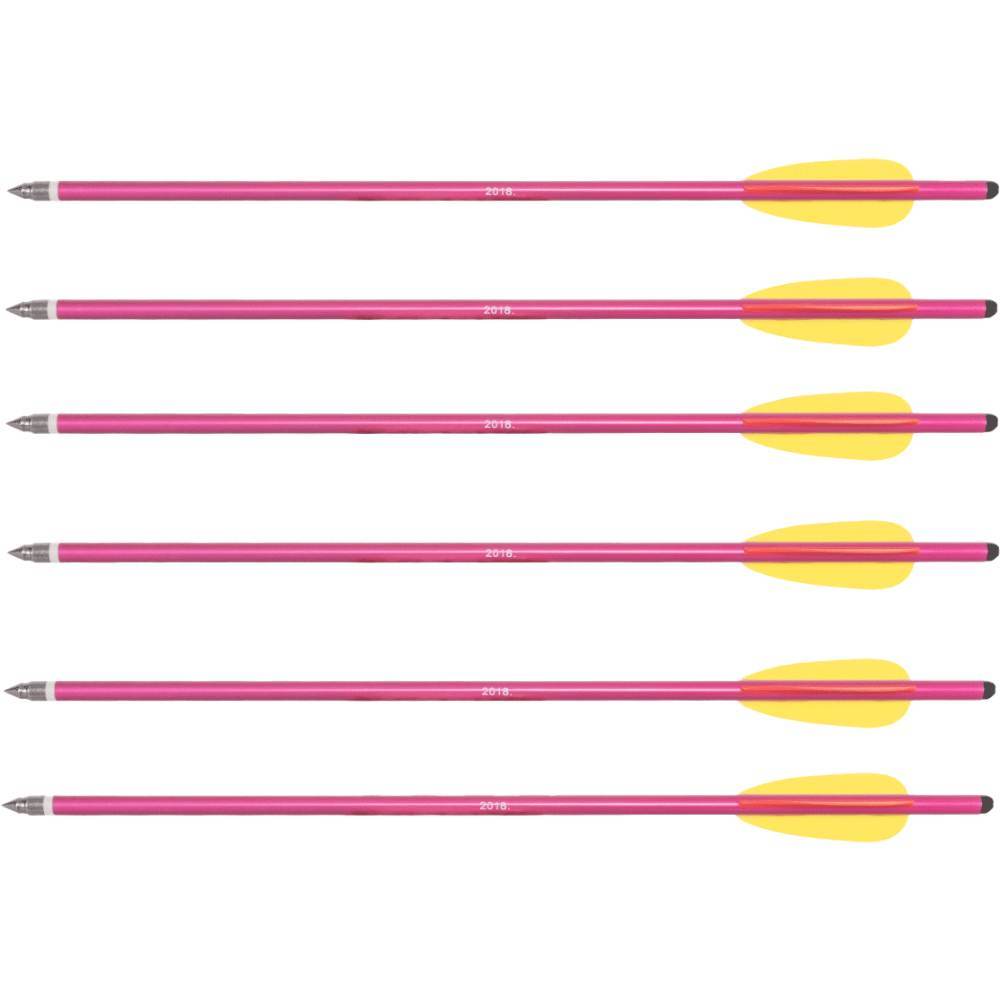 Kit com 6 flechas alumínio com ponta rosqueável 50cm para Crosbow Balestra Rossi