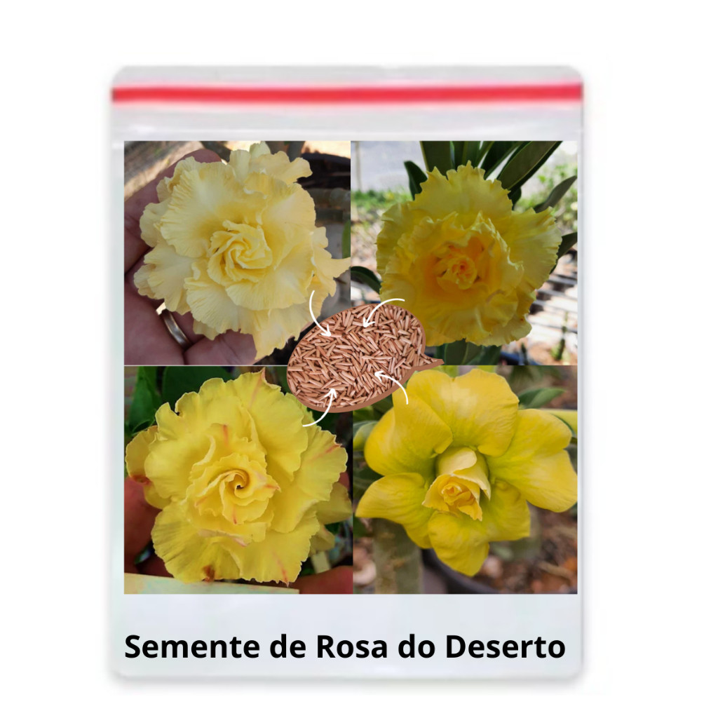 30 Sementes Rosa Do Deserto Amarela Dobrada/tripla
