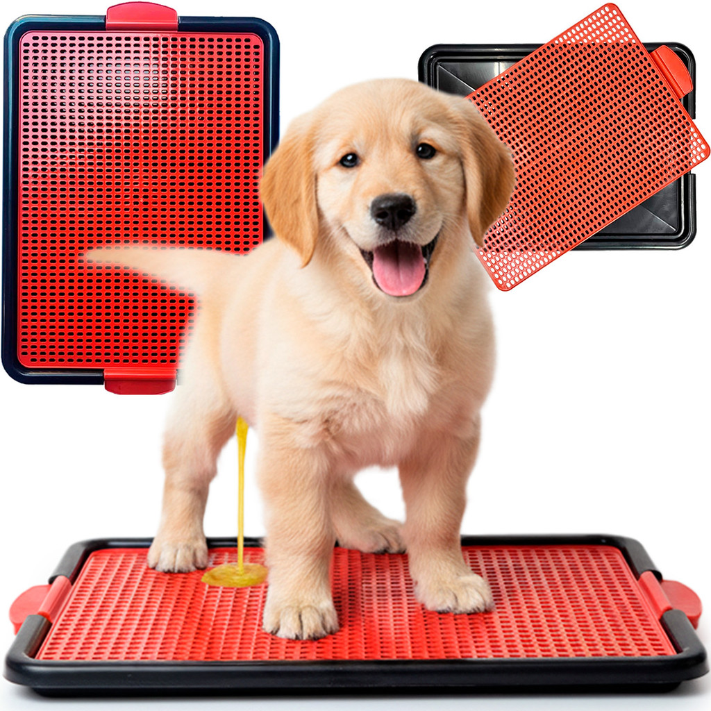 Sanitário Canino Bandeja Xixi Pets com Grade Grande Premium - Acabe Com O Cheiro De Xixi