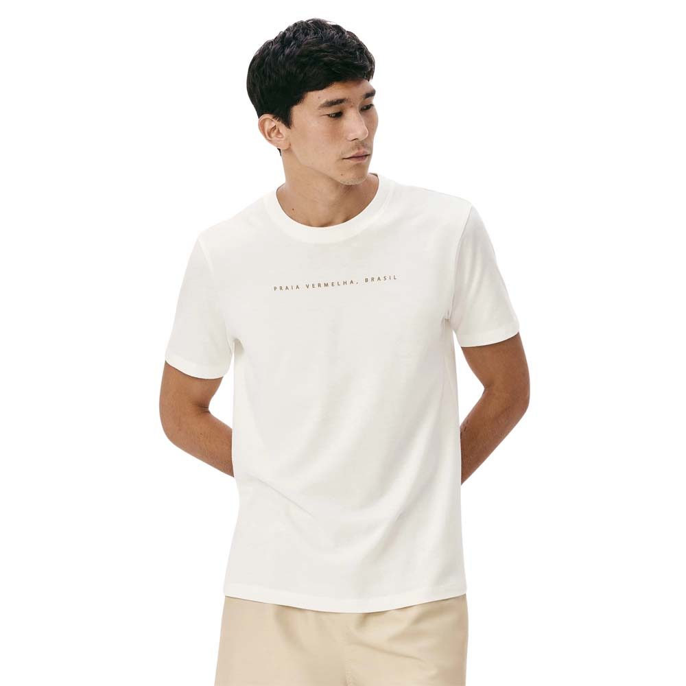 Camiseta Hering Masculina Manga Curta Com Estampa