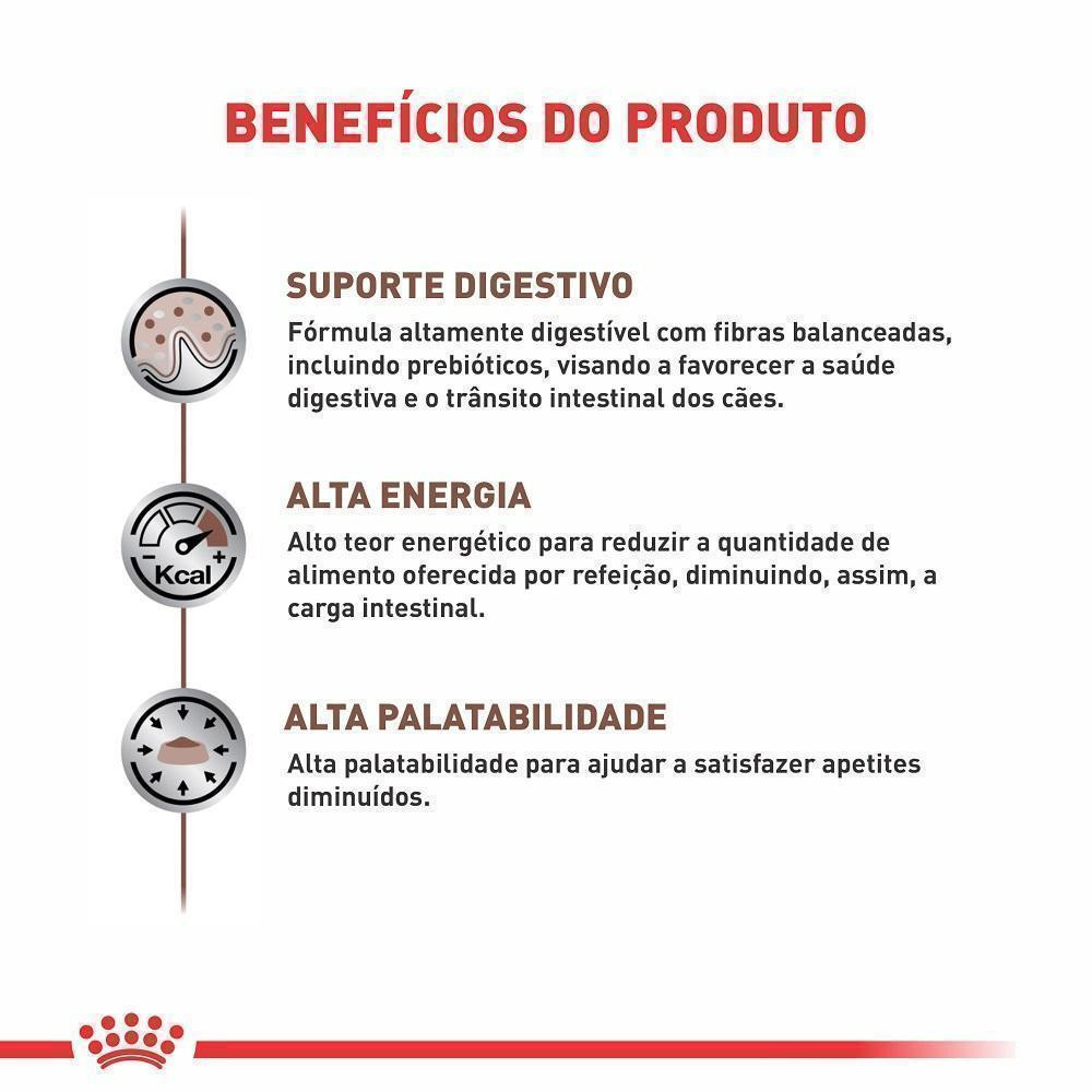 Ração Seca Royal Canin Veterinary Diet Gastrointestinal para Cães Adultos com Sensibilidades Gastrointestinais - 10,1 Kg — imagem 2 de 2
