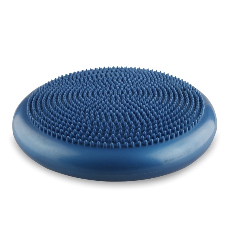 Disco De Equilíbrio Para Exercícios Inflável Fisiopauher