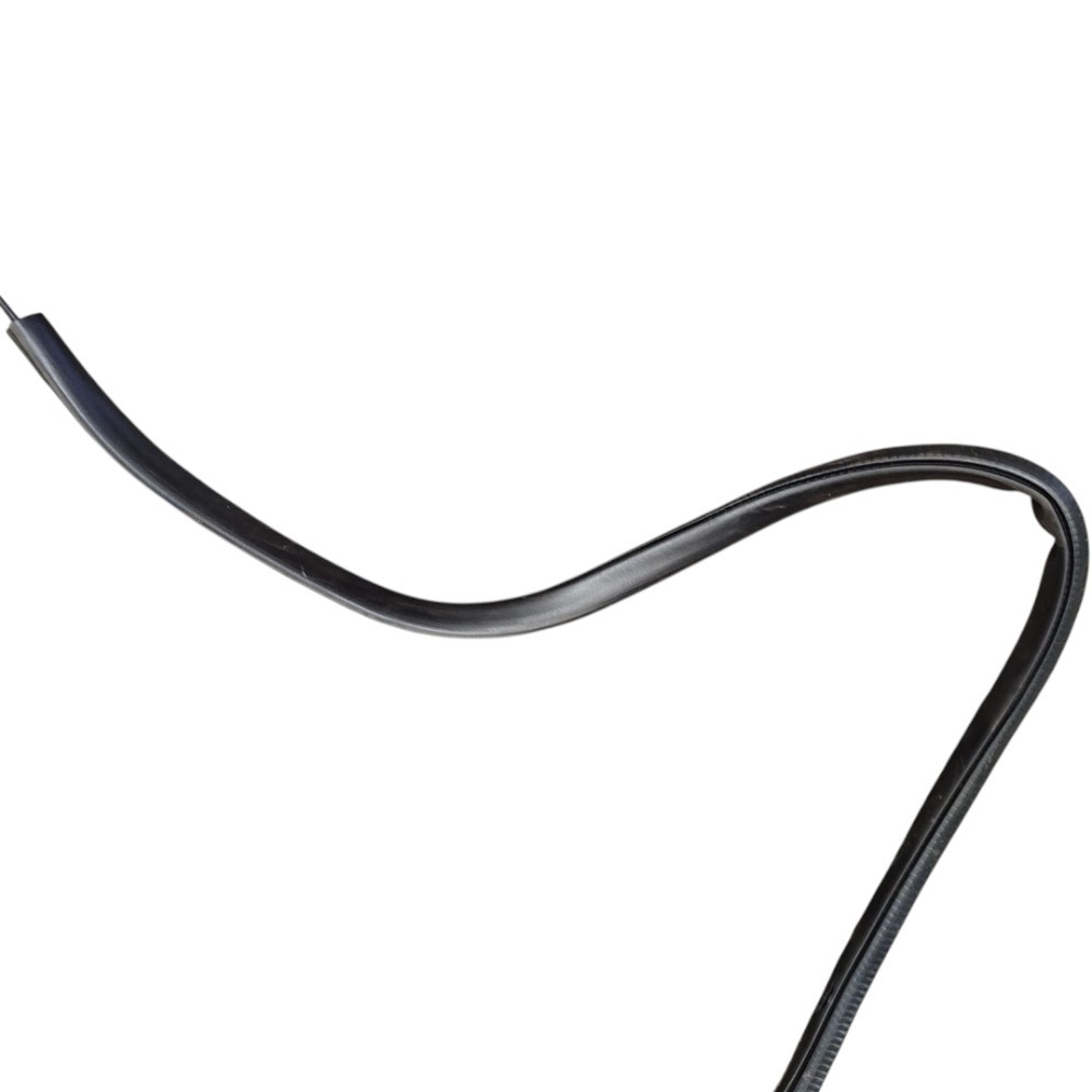 Borracha Galhada Friso Lateral Esquerda Ford Focus 2001 2007