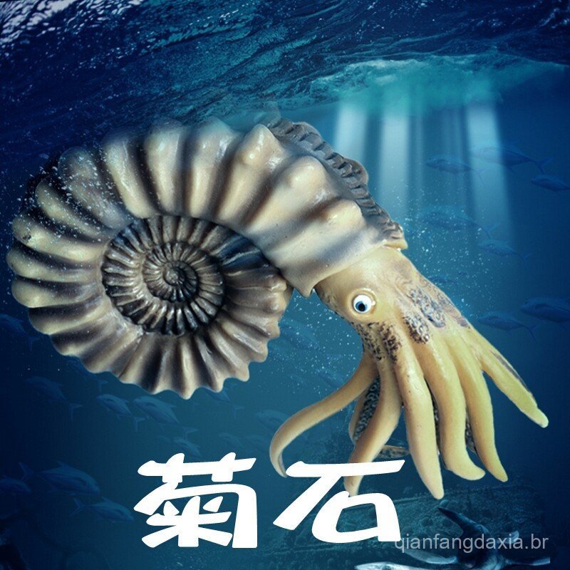 Brinquedo infantil, modelo realista de criatura marinha antiga, amonite, nautilus, figura de animal, ornamento da era pr