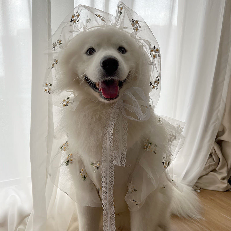 Cão De Estimação Médio Grande Primavera/Verão Roupas De Inverno Fino Terno De Casamento Vestido Samo Golden Retriever Fr