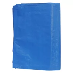 Lona P/ Carreteiro Polietileno 2x2M Berg Ferramentas