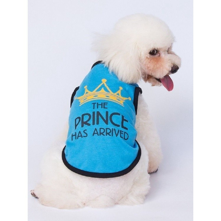 Camiseta de Verão para Cães e Gatos, Colete de Algodão com Coroa de Príncipe, Roupas para Animais de Estimação-&&&