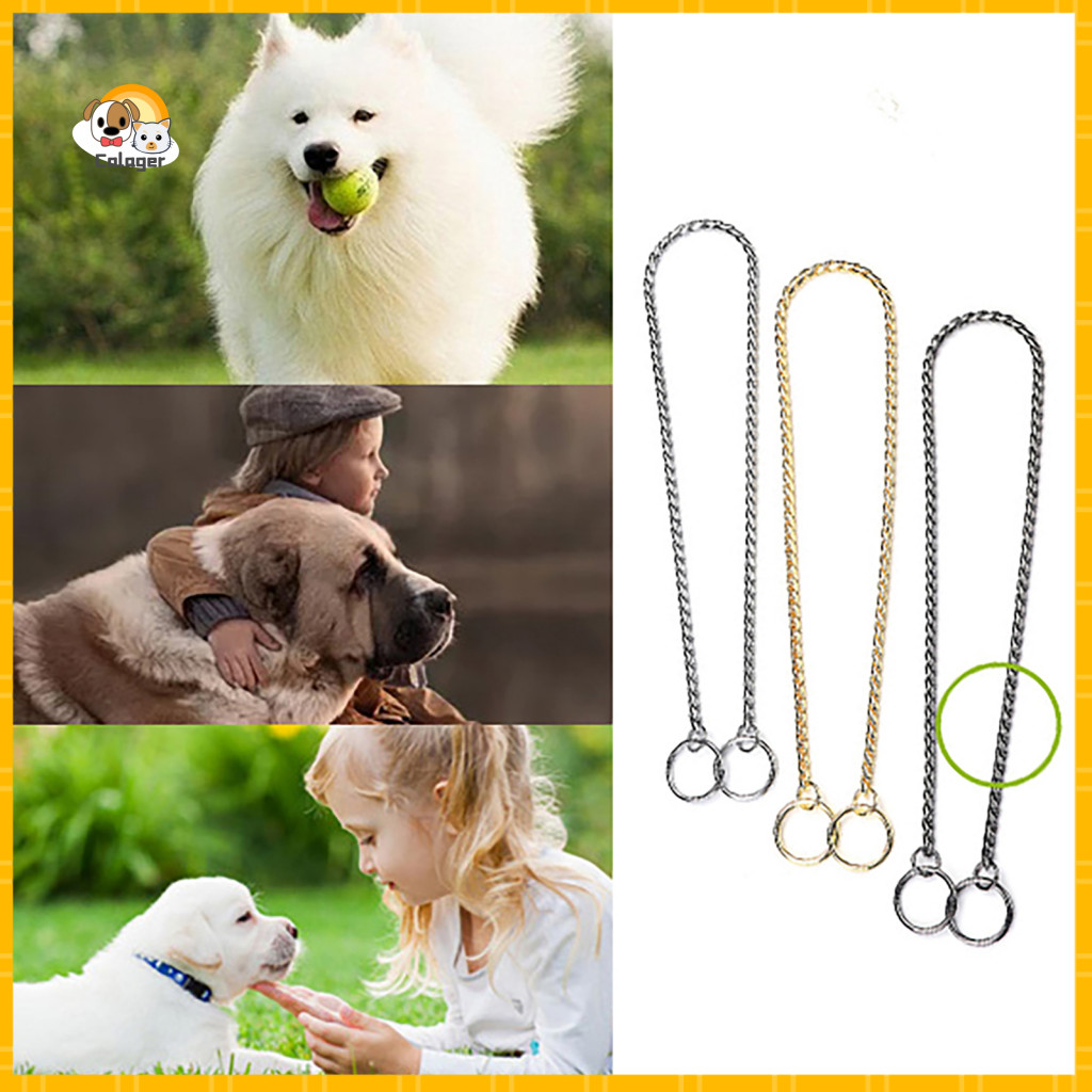 Dog Chain Collar Mastiff Leash Heavy Duty Metal P-chain for Medium to Breeds – Durable Training for Pit Bulls Strong f