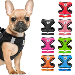 Coleira Peitoral Cães E Gatos Ajustável Com Guia Colete Pet - Diversas Cores  e Tamanhos! Oferta! em Oferta na Shopee