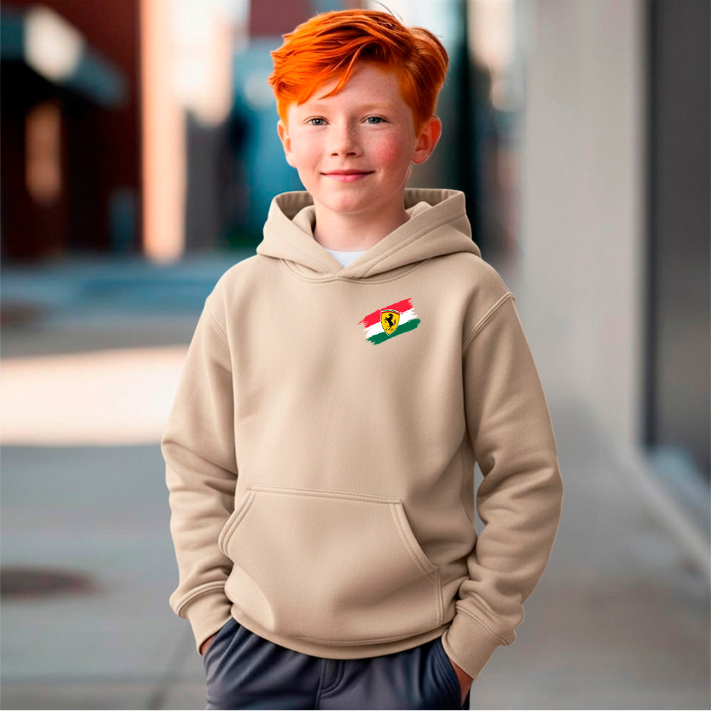 Blusa Moletom Infantil Carro Formula 1 Ferrari Leclerc F1