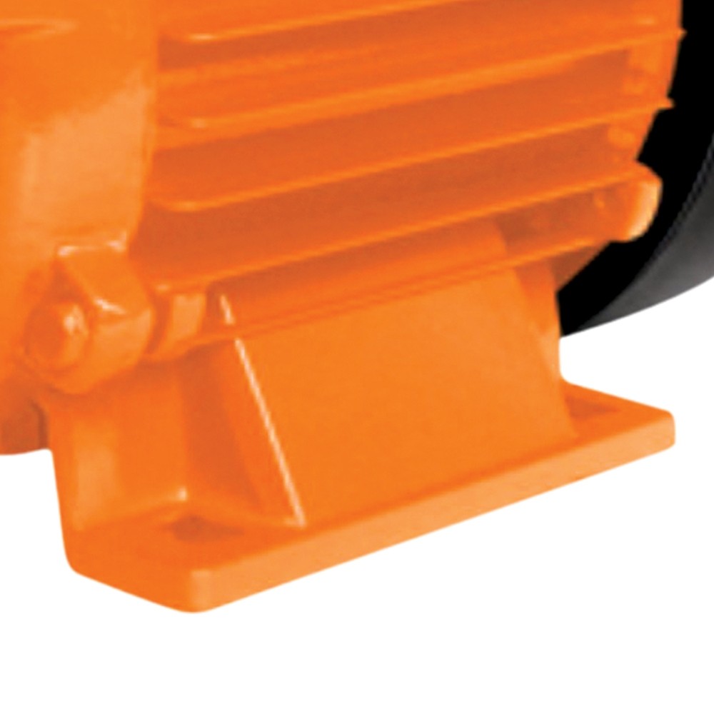 Detalhes do Motobomba periférica 1 hp bivolt - BP1000 - Intech Machine (110V/220V)