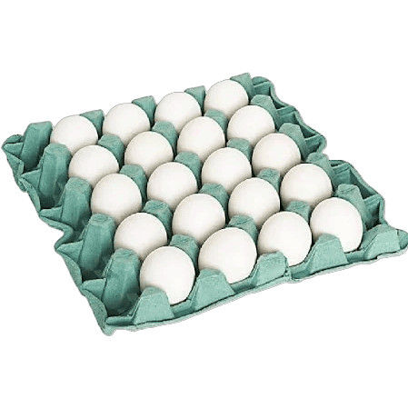 Ovos Brancos Extra Iana 20 und em Oferta na Shopee