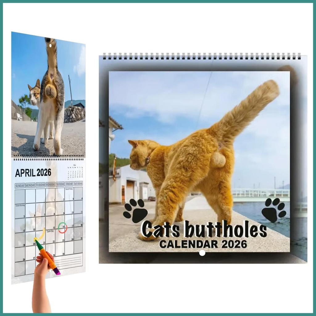 2026 Calendário De Parede Bolas De Gato 2026 Planejador Mensal Ferramenta De Programação Para Apartamento Mesa Quarto Co