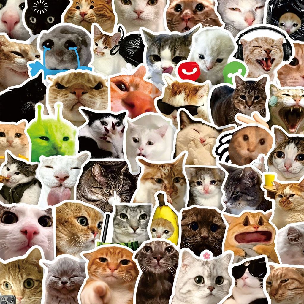 100 Pçs Engraçado Gato Meme Adesivos Bonito Gatinho Expressão Decalques À Prova Dwaterproof Água Para Notebook Diário De