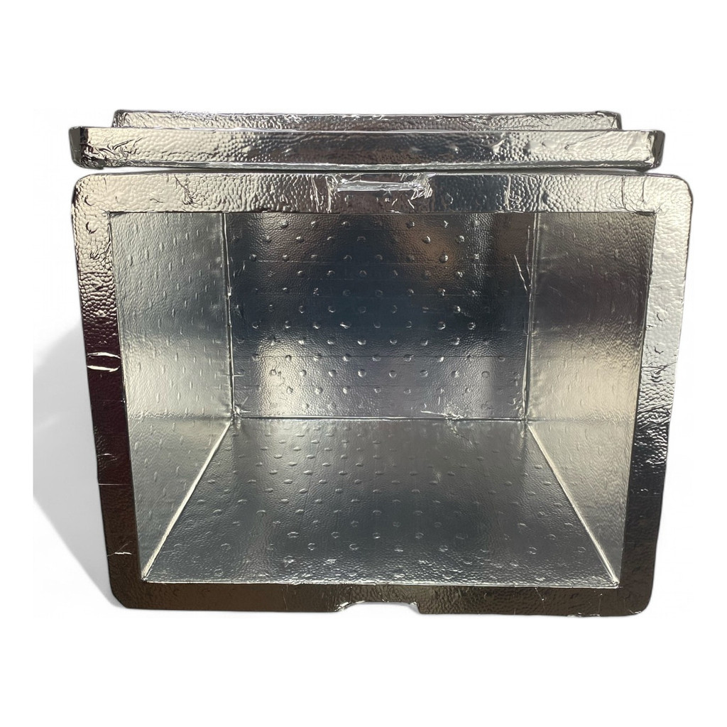 Caixa De Isopor 45l Laminada Para Bag Espetos Bebidas Branco em Oferta na Shopee