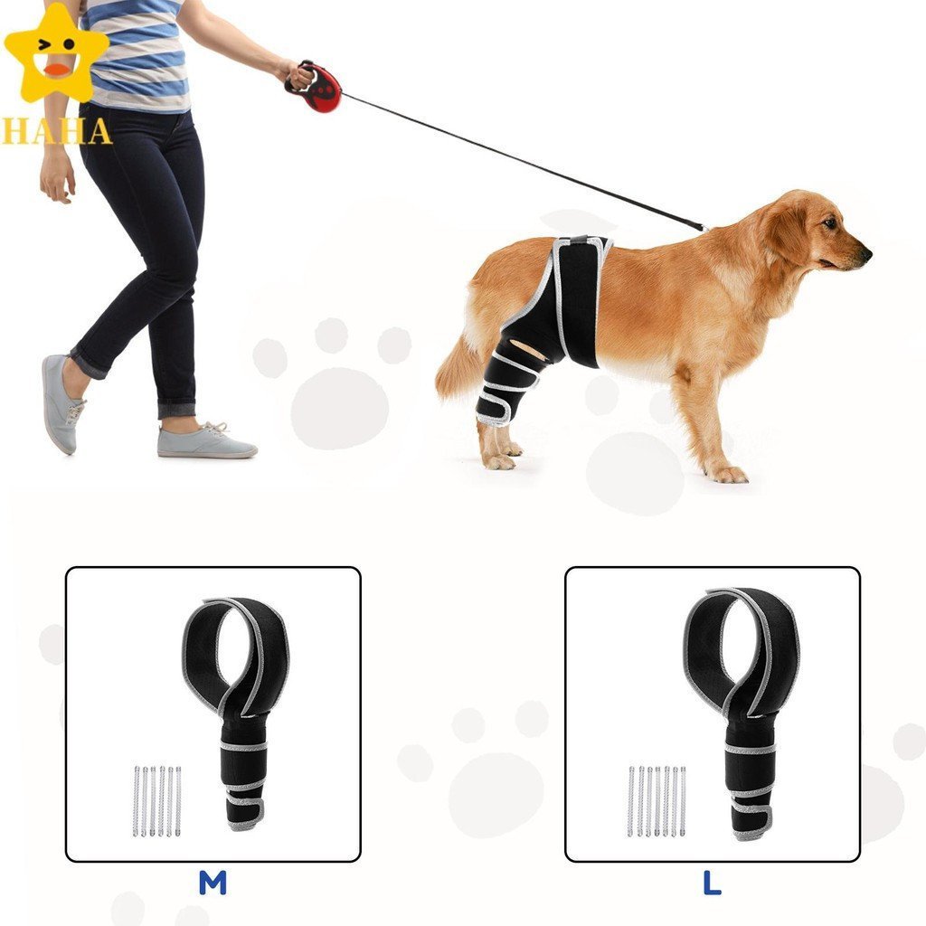 Joelheira Para Cachorro Rasgada ACL Com Faixa De Suporte Perna Traseira E Universal Todos Os Membros SHOPSBC7383