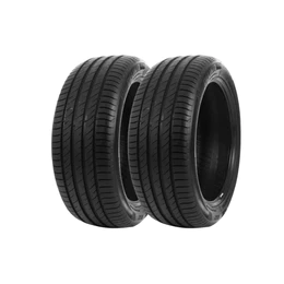 Kit 2 Pneus Delinte Aro 15 195/55 R15 85V Ds2