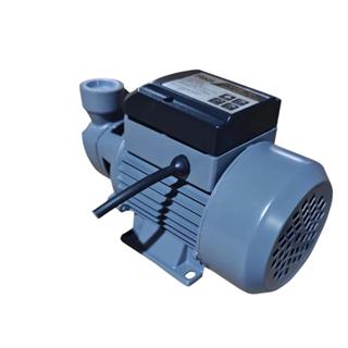 Bomba Periférica Razi 1/2 CV 21154 RZ-BP375/M1 Vazão 1500 L/h Altura 30mca 127V em Oferta na Shopee