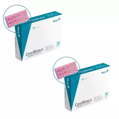 02 CefaWorld 300 mg Cães e Gatos Com 12 Comprimidos - World