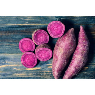 100 sements batata doce polpa roxa com manual de cultivo em Oferta na Shopee