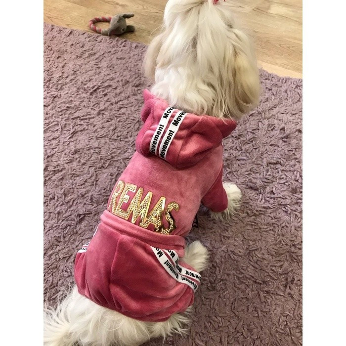 Roupa para Cães em Veludo Dourado, Macacão de Quatro Pernas, Suéter para Primavera e Outono, Roupas para Cães Pequenos T
