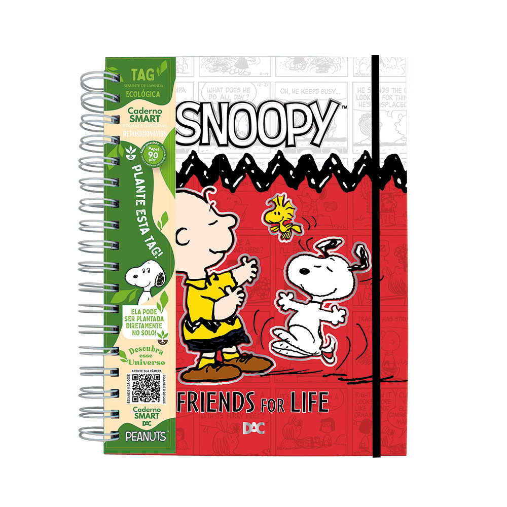 Caderno Smart Mini 10 Matérias Snoopy DAC em Oferta na Shopee